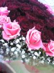2月18日（金）｜「ｎａｔｕｒｅ（ナチュレ）」　（滋賀県野洲市の花キューピット加盟店 花屋）のブログ