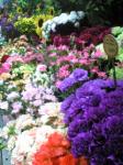 ５月３日（火）｜「ｎａｔｕｒｅ（ナチュレ）」　（滋賀県野洲市の花キューピット加盟店 花屋）のブログ