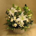 ８月１２日（金）｜「ｎａｔｕｒｅ（ナチュレ）」　（滋賀県野洲市の花キューピット加盟店 花屋）のブログ
