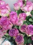 ３月６日（火）｜「ｎａｔｕｒｅ（ナチュレ）」　（滋賀県野洲市の花キューピット加盟店 花屋）のブログ