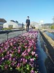 １１月１６日（金）｜「ｎａｔｕｒｅ（ナチュレ）」　（滋賀県野洲市の花キューピット加盟店 花屋）のブログ