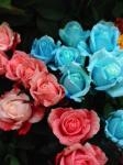 7月30日(木) 晴れ　夕方から猛烈な雨｜「ｎａｔｕｒｅ（ナチュレ）」　（滋賀県野洲市の花キューピット加盟店 花屋）のブログ