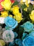 ９月２８日（土）｜「ｎａｔｕｒｅ（ナチュレ）」　（滋賀県野洲市の花キューピット加盟店 花屋）のブログ
