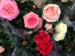 ３月８日（土）｜「ｎａｔｕｒｅ（ナチュレ）」　（滋賀県野洲市の花キューピット加盟店 花屋）のブログ