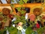 7月24日（木）｜「ｎａｔｕｒｅ（ナチュレ）」　（滋賀県野洲市の花キューピット加盟店 花屋）のブログ