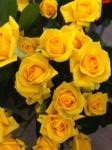 ７月２１日（月）｜「ｎａｔｕｒｅ（ナチュレ）」　（滋賀県野洲市の花キューピット加盟店 花屋）のブログ