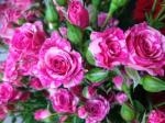 ９月２５日（木）｜「ｎａｔｕｒｅ（ナチュレ）」　（滋賀県野洲市の花キューピット加盟店 花屋）のブログ