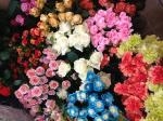 7月15日（金）｜「ｎａｔｕｒｅ（ナチュレ）」　（滋賀県野洲市の花キューピット加盟店 花屋）のブログ
