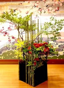 6月24日（日）｜「ｎａｔｕｒｅ（ナチュレ）」　（滋賀県野洲市の花キューピット加盟店 花屋）のブログ
