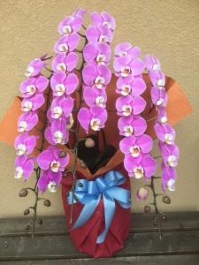 ２月２日（土）｜「ｎａｔｕｒｅ（ナチュレ）」　（滋賀県野洲市の花キューピット加盟店 花屋）のブログ
