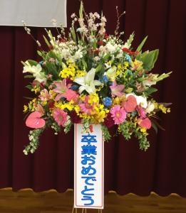 3月20日（水）｜「ｎａｔｕｒｅ（ナチュレ）」　（滋賀県野洲市の花キューピット加盟店 花屋）のブログ