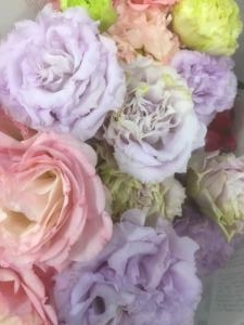 3月26日（火）｜「ｎａｔｕｒｅ（ナチュレ）」　（滋賀県野洲市の花キューピット加盟店 花屋）のブログ