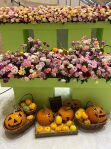 10月22日（木）｜「ｎａｔｕｒｅ（ナチュレ）」　（滋賀県野洲市の花キューピット加盟店 花屋）のブログ