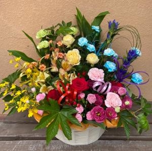 １１月７日（土）｜「ｎａｔｕｒｅ（ナチュレ）」　（滋賀県野洲市の花キューピット加盟店 花屋）のブログ