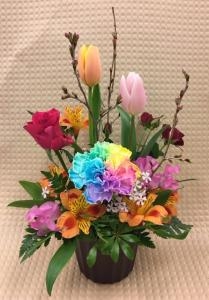 3月4日（木）｜「ｎａｔｕｒｅ（ナチュレ）」　（滋賀県野洲市の花キューピット加盟店 花屋）のブログ
