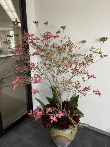 4月24日（土）｜「ｎａｔｕｒｅ（ナチュレ）」　（滋賀県野洲市の花キューピット加盟店 花屋）のブログ