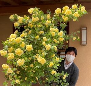 4月23日（金）｜「ｎａｔｕｒｅ（ナチュレ）」　（滋賀県野洲市の花キューピット加盟店 花屋）のブログ
