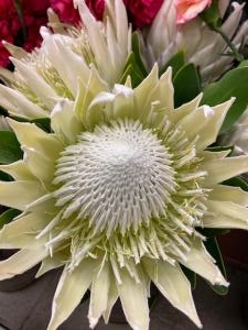 5月2日（日）｜「ｎａｔｕｒｅ（ナチュレ）」　（滋賀県野洲市の花キューピット加盟店 花屋）のブログ