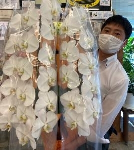 6月8日（水）｜「ｎａｔｕｒｅ（ナチュレ）」　（滋賀県野洲市の花キューピット加盟店 花屋）のブログ