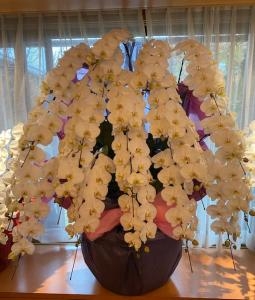 12月30日（金）｜「ｎａｔｕｒｅ（ナチュレ）」　（滋賀県野洲市の花キューピット加盟店 花屋）のブログ