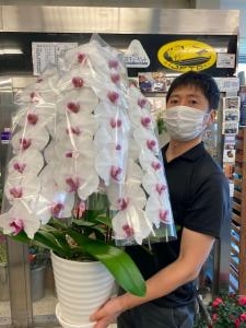 7月24日（月）｜「ｎａｔｕｒｅ（ナチュレ）」　（滋賀県野洲市の花キューピット加盟店 花屋）のブログ